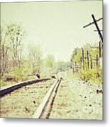 Tracking Metal Print