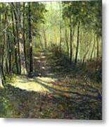 Trail Through The Woods Metal Print