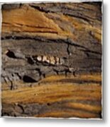 Tree Bark With Grains Of Weathered Metal Print