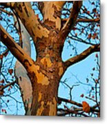 Tree In Camo Metal Print