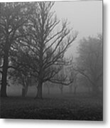 Trees And Fog Metal Print