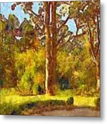 Trees In The Late Afternoon Sun 2 Metal Print