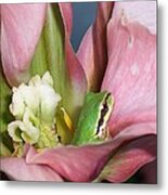 Tulip Frog Metal Print