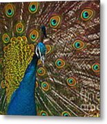 Turquoise And Gold Wonder Metal Print