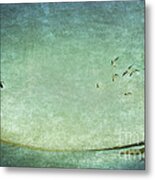 Turquoise World Metal Print