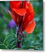 Uncanny Canna Metal Print