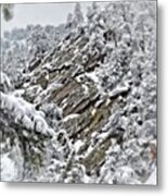 Up In The Mountains. Boulder. Colorado Metal Print