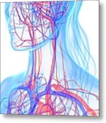 Vascular System, Artwork Metal Print