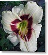 Velvety Lily By Day Metal Print