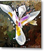 Venice Iris Metal Print