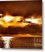 Vibrancy Metal Print