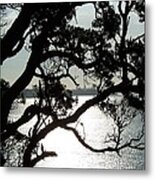 View Of Auckland Metal Print