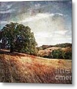 Vista Of Distant Memory Metal Print