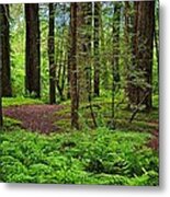 Walking Inward Metal Print