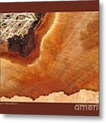 Warm Willow Wood-ii Metal Print