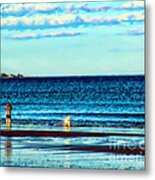 Water Dog From Dog Park Beach Series Metal Print