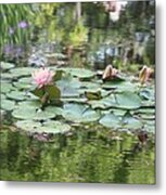 Water Lilies Brookgreen Gardens Metal Print