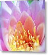 Water Lily Center Metal Print