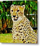 Watercolor Cheetah Metal Print