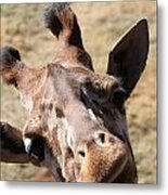 What A Face Metal Print