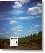 What A Vine Day Today Metal Print