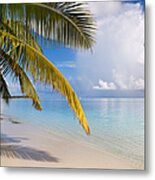 Whispering Palm On The Tropical Beach Metal Print