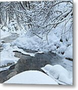 Whist Of December Metal Print