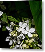 White Breeze Metal Print