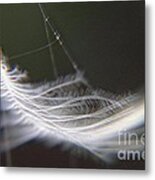 White Hammock Metal Print