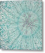 Wild Carrot Root Section Metal Print