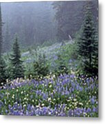 Wildflower Meadow Mt Rainier Metal Print