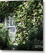 Window And Vines Metal Print