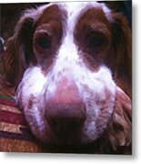 Winston's Nose Metal Print