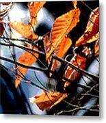 Winter Forest Metal Print