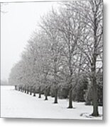 Winter Hoar Frost On Trees Metal Print