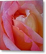 Winter Rose Metal Print