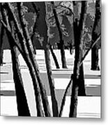 Winter Verticals Metal Print