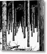 Winter Wooded Path Metal Print