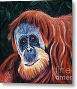 Wise One - Orangutan Wildlife Painting Metal Print