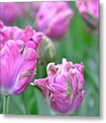 Wrinkled Flowers Metal Print