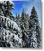 Yosemite Snow Metal Print