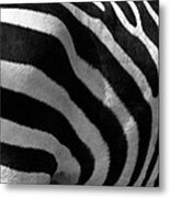Zebra Stripes Metal Print