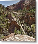 Zion Canyon Overlook Trail Look Back Metal Print