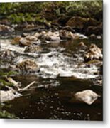 Little Stream At The Hermitage Metal Print