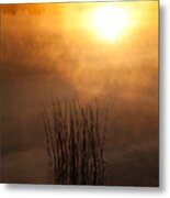 Mist And Lake Reeds At Sunrise Metal Print