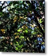 A Touch Of Autumn #1 Metal Print