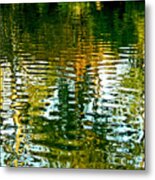 Reflections And Patterns In Nature Metal Print