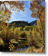 Autumn In Bishop Creek #1 Metal Print