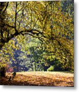 Autumn Trees #1 Metal Print
