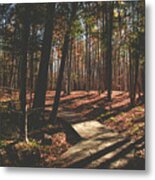 Autumn Woods #1 Metal Print